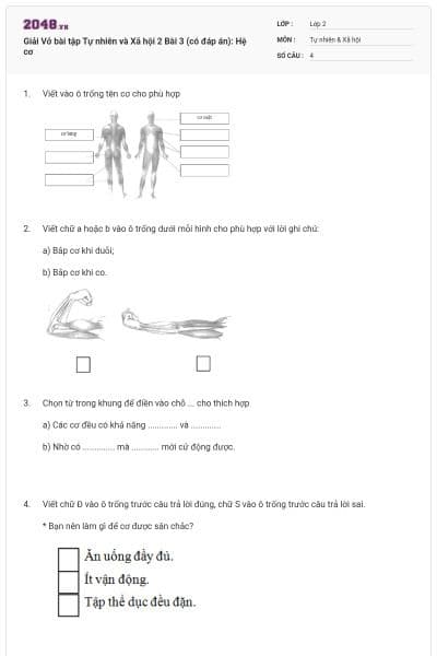 Giải Vở bài tập Tự nhiên và Xã hội 2 Bài 3 (có đáp án): Hệ cơ