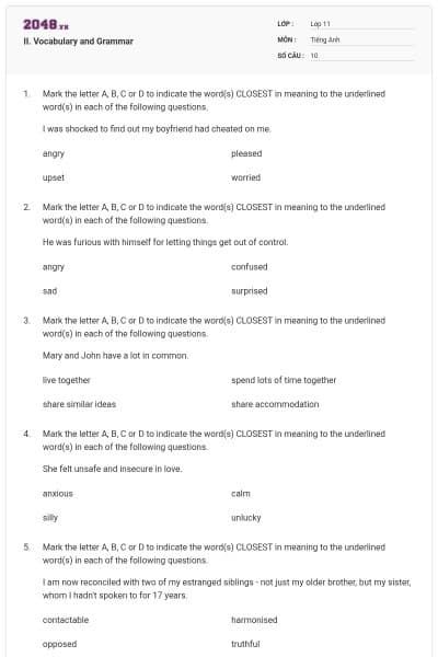 II. Vocabulary and Grammar