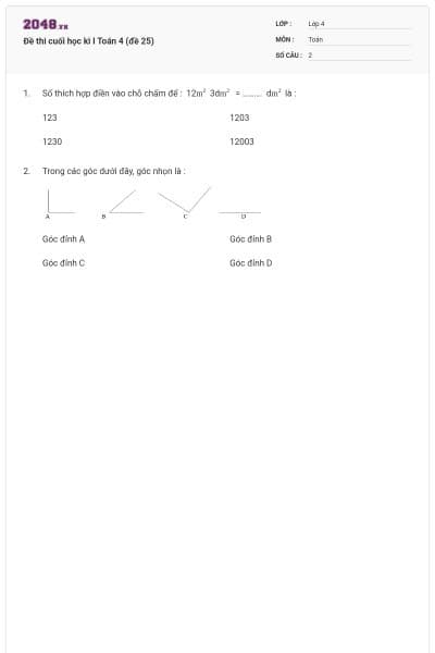 Đề thi cuối học kì I Toán 4 (đề 25)