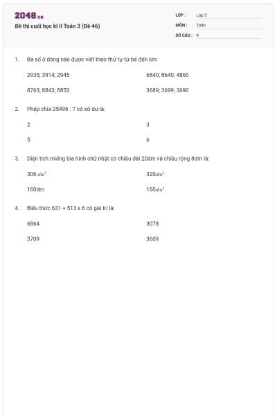 Đề thi cuối học kì II Toán 3 (Đề 46)