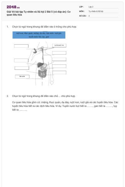 Giải Vở bài tập Tự nhiên và Xã hội 2 Bài 5 (có đáp án): Cơ quan tiêu hóa