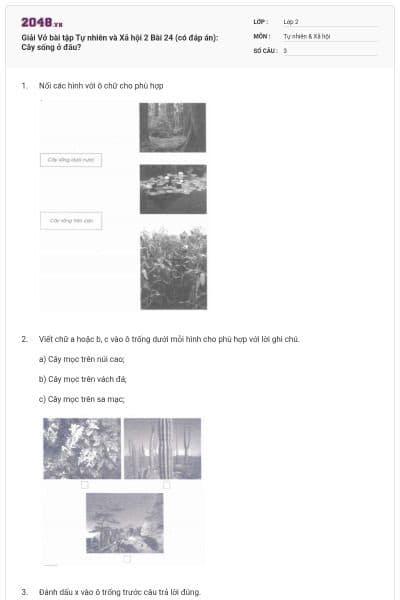 Giải Vở bài tập Tự nhiên và Xã hội 2 Bài 24 (có đáp án): Cây sống ở đâu?