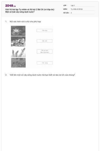 Giải Vở bài tập Tự nhiên và Xã hội 2 Bài 26 (có đáp án): Một số loài cây sống dưới nước?