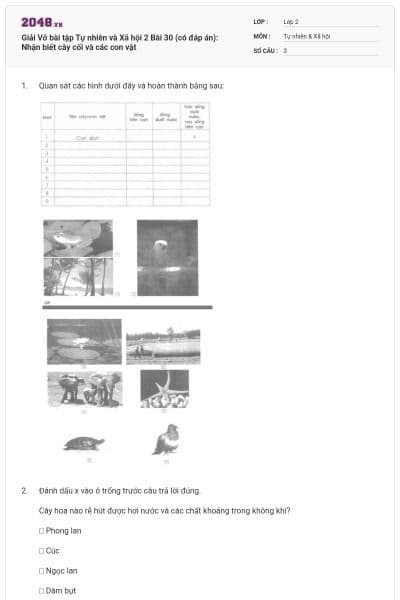 Giải Vở bài tập Tự nhiên và Xã hội 2 Bài 30 (có đáp án): Nhận biết cây cối và các con vật