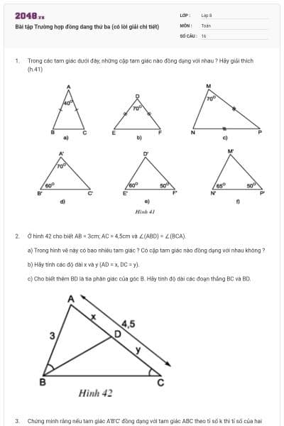 Bài tập Trường hợp đồng dang thứ ba (có lời giải chi tiết)