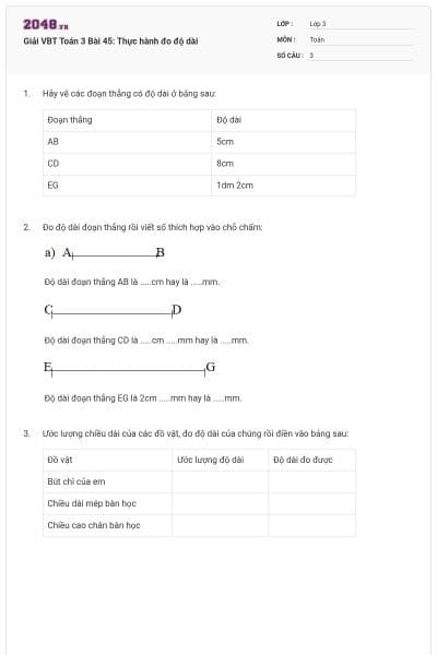 Giải VBT Toán 3 Bài 45: Thực hành đo độ dài