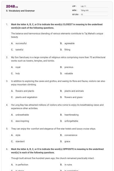 II. Vocabulary and Grammar