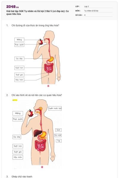 Giải bài tập SGK Tự nhiên và Xã hội 2 Bài 5 (có đáp án): Cơ quan tiêu hóa