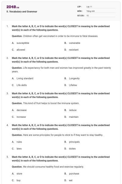 II. Vocabulary and Grammar
