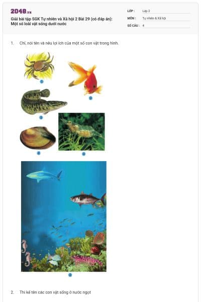 Giải bài tập SGK Tự nhiên và Xã hội 2 Bài 29 (có đáp án): Một số loài vật sống dưới nước