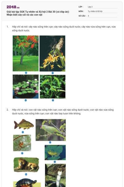 Giải bài tập SGK Tự nhiên và Xã hội 2 Bài 30 (có đáp án): Nhận biết cây cối và các con vật