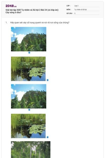 Giải bài tập SGK Tự nhiên và Xã hội 2 Bài 24 (có đáp án): Cây sống ở đâu?