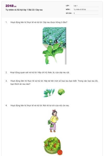 Tự nhiên và Xã hội lớp 1 Bài 22: Cây rau