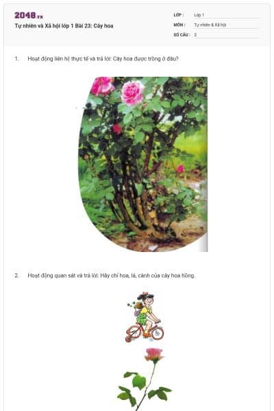 Tự nhiên và Xã hội lớp 1 Bài 23: Cây hoa