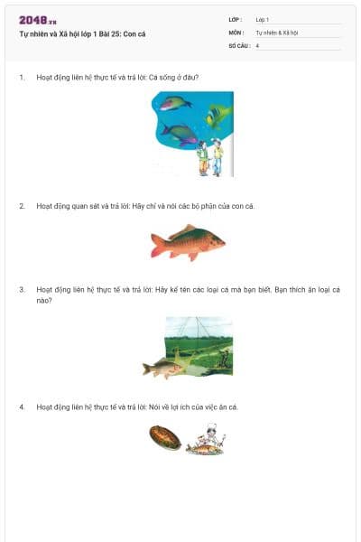 Tự nhiên và Xã hội lớp 1 Bài 25: Con cá