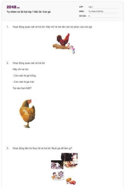 Tự nhiên và Xã hội lớp 1 Bài 26: Con gà