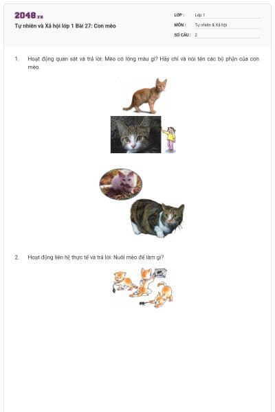 Tự nhiên và Xã hội lớp 1 Bài 27: Con mèo