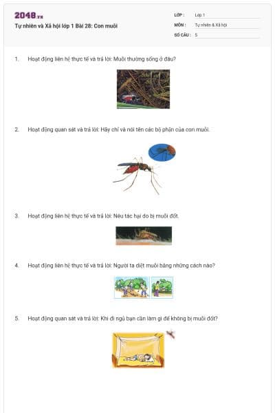 Tự nhiên và Xã hội lớp 1 Bài 28: Con muỗi