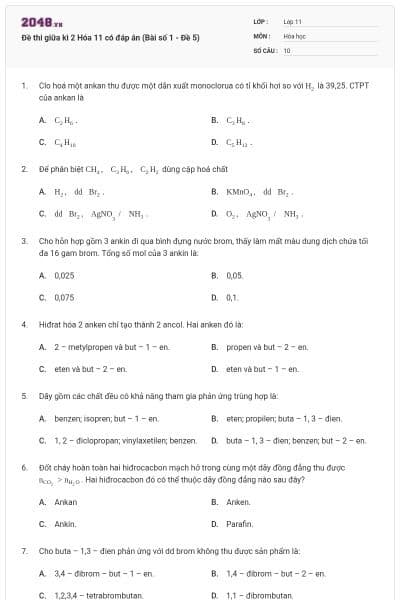 Đề thi giữa kì 2 Hóa 11 có đáp án (Bài số 1 - Đề 5)