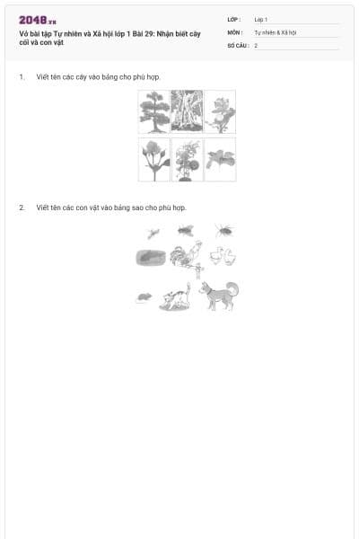 Vở bài tập Tự nhiên và Xã hội lớp 1 Bài 29: Nhận biết cây cối và con vật