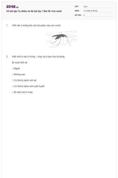 Vở bài tập Tự nhiên và Xã hội lớp 1 Bài 28: Con muỗi