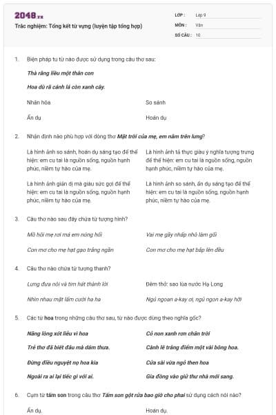 Trắc nghiệm: Tổng kết từ vựng (luyện tập tổng hợp)