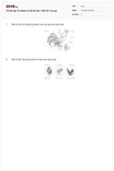 Vở bài tập Tự nhiên và Xã hội lớp 1 Bài 26: Con gà