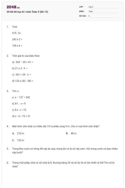 20 Đề thi học kì I môn Toán 3 (Đề 13)