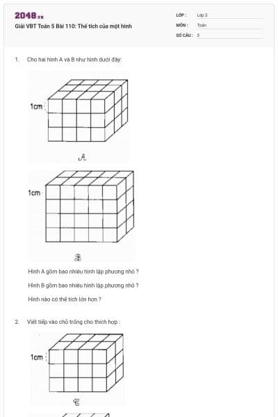 Giải VBT Toán 5 Bài 110: Thể tích của một hình