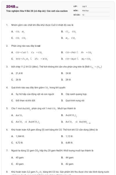 Trắc nghiệm Hóa 9 Bài 28 (có đáp án): Các oxit của cacbon