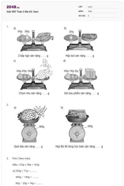 Giải VBT Toán 3 Bài 63: Gam