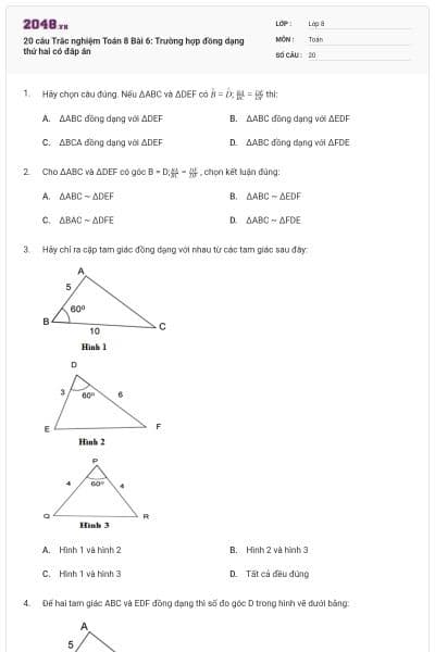 20 câu Trắc nghiệm Toán 8 Bài 6: Trường hợp đồng dạng thứ hai có đáp án