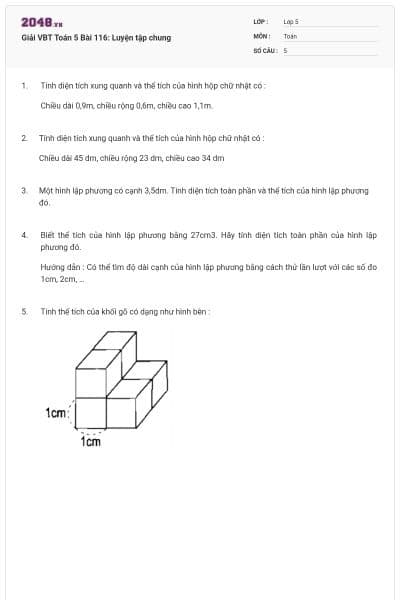 Giải VBT Toán 5 Bài 116: Luyện tập chung