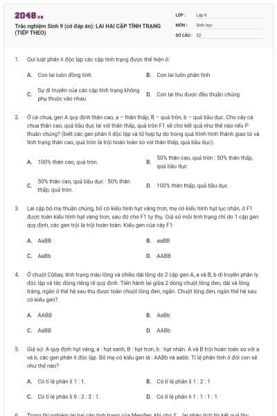 Trắc nghiệm Sinh 9 (có đáp án): LAI HAI CẶP TÍNH TRẠNG (TIẾP THEO)
