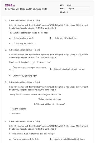 Đề thi Tiếng Việt 3 Giữa học kì 1 có đáp án (Đề 5)