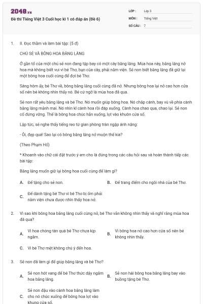 Đề thi Tiếng Việt 3 Cuối học kì 1 có đáp án (Đề 6)