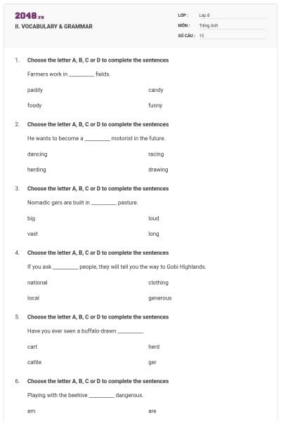 II. VOCABULARY & GRAMMAR