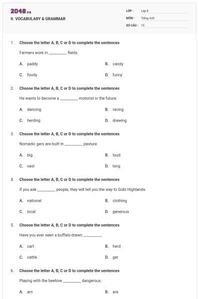 II. VOCABULARY & GRAMMAR