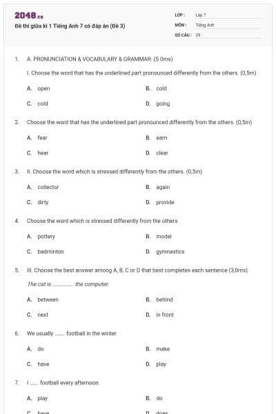 Đề thi giữa kì 1 Tiếng Anh 7 có đáp án (Đề 3)