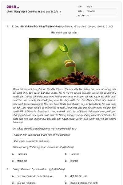 Đề thi Tiếng Việt 3 Cuối học kì 2 có đáp án (Đề 1)