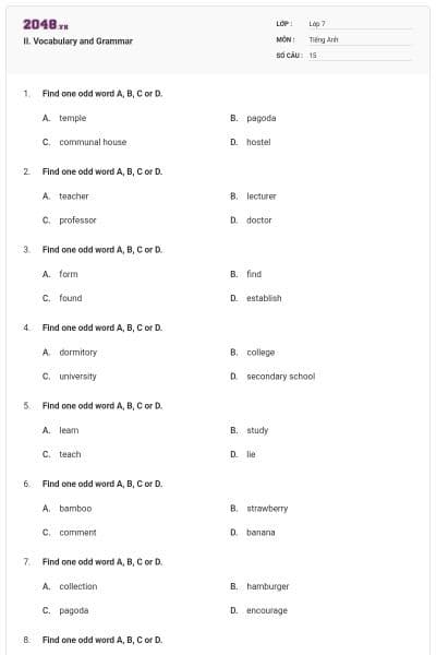 II. Vocabulary and Grammar