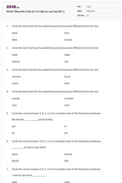 Đề thi Tiếng Anh 6 Học kì 2 có đáp án, cực hay (Đề 1)