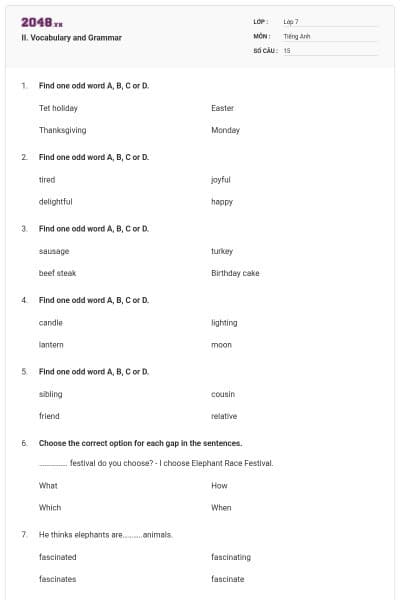 II. Vocabulary and Grammar