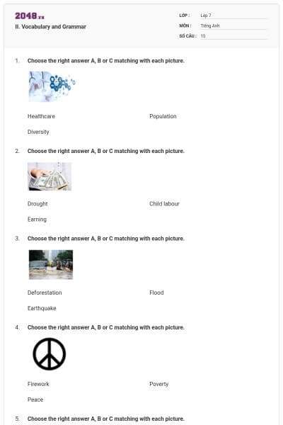 II. Vocabulary and Grammar