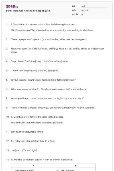 Đề thi Tiếng Anh 7 Học kì 2 có đáp án (Đề 5)