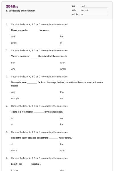 II. Vocabulary and Grammar