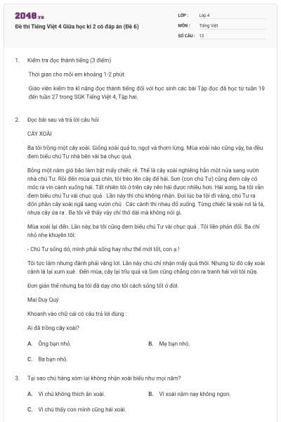 Đề thi Tiếng Việt 4 Giữa học kì 2 có đáp án (Đề 6)