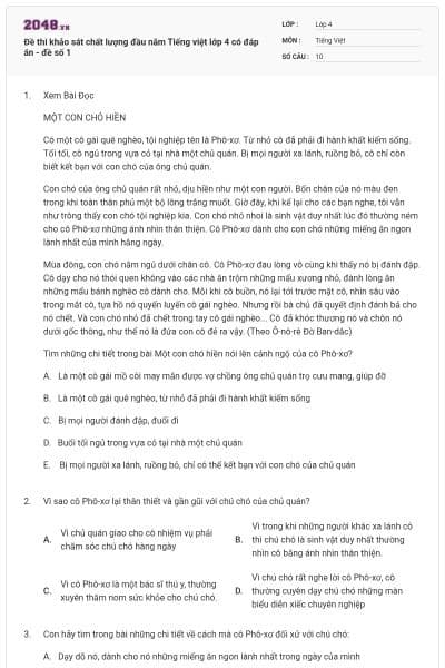 Đề thi khảo sát chất lượng đầu năm Tiếng việt lớp 4 có đáp án - đề số 1