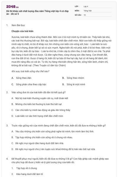 Đề thi khảo sát chất lượng đầu năm Tiếng việt lớp 4 có đáp án - đề số 5