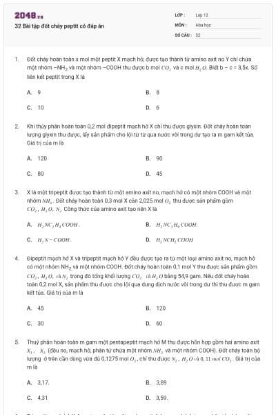 32 Bài tập đốt cháy peptit có đáp án
